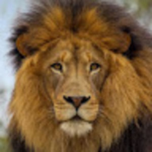 Meet your Posher, Davey